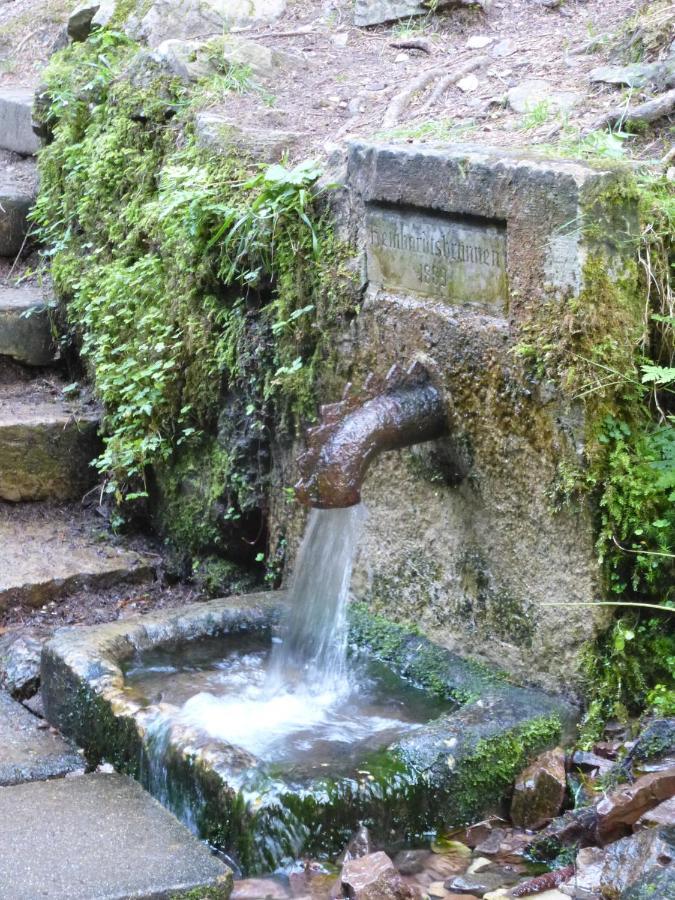 Kleines Refugium